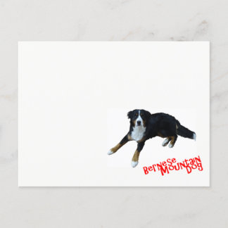 バーニーズマウンテンドッグ POSTCARD