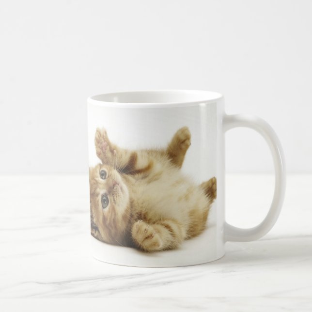 マルチカン子猫　マグカップ COFFEE MUG (Right)