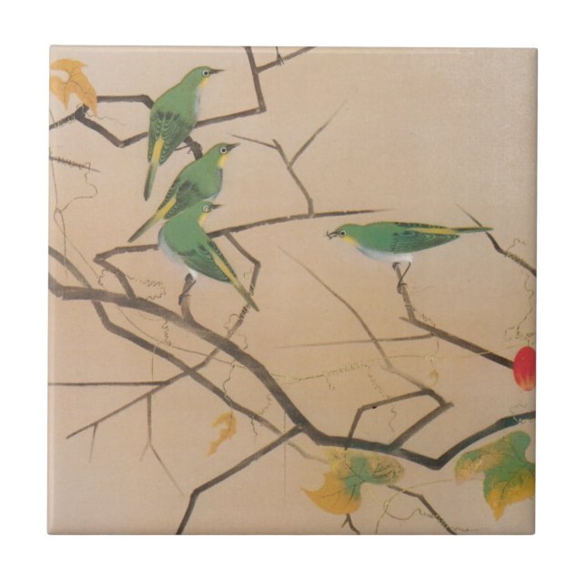 メジロ, 速水御舟, Japanese White-Eye, Gyoshū, Japan Art Tile (Front)