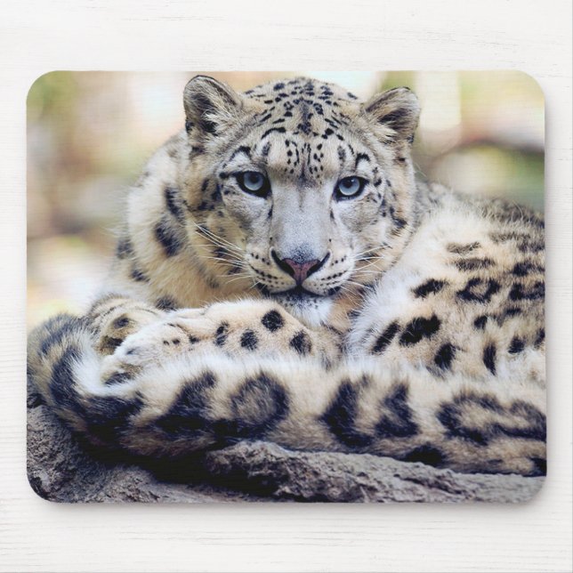 ユキヒョウ MOUSE PAD (Front)