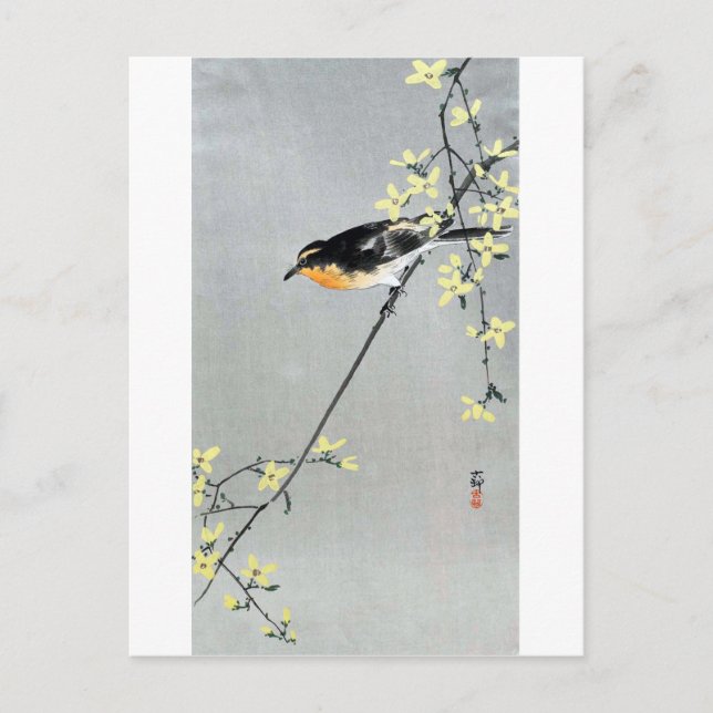 レンギョウに小鳥, 古邨 Bird on Forsythia, Ohara Koson Postcard (Front)