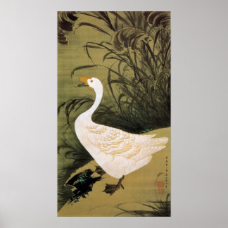 動植綵絵(13)芦鵞図, 伊藤若冲 POSTER