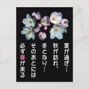 募金用 , Cherry blossoms , 桜 Postcard