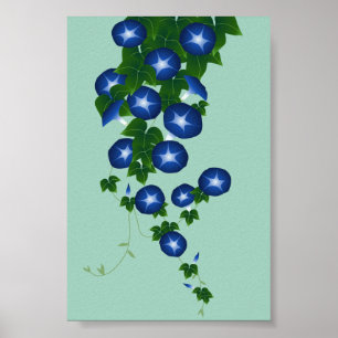 朝顔, 青磁色, Asagao, Morning glory, shallow  Poster