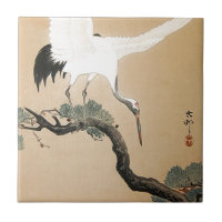 松に鶴, 古邨 Crane on Pine Tree, Koson, Ukiyo-e