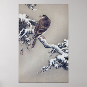 松に鷹, 古邨 Hawk on Pine tree, Ohara Koson, Woodcut Poster