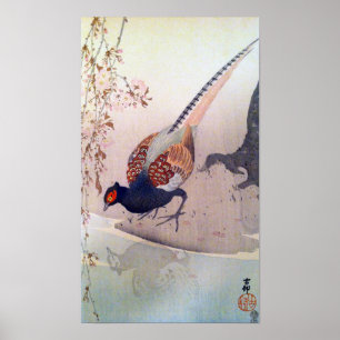 桜にキジ, 古邨 Pheasant and Cherry blossoms, Poster