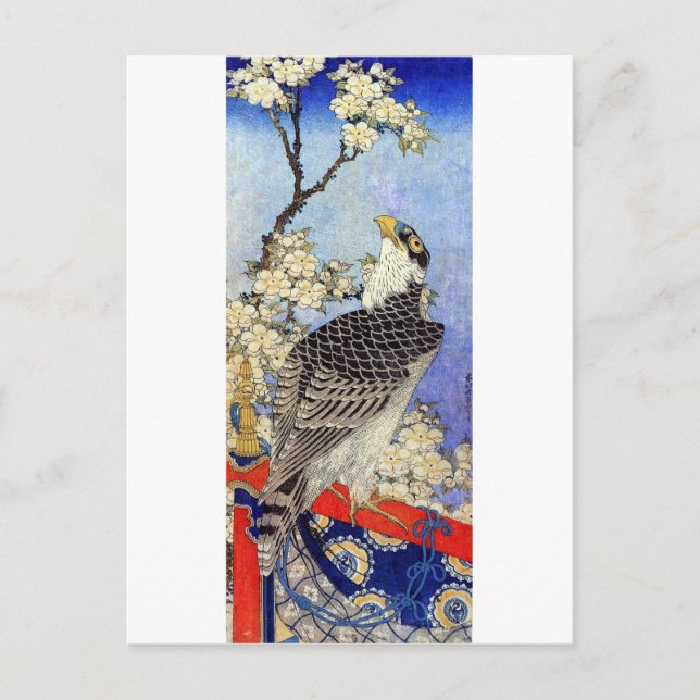 桜にハヤブサ, Falcon & Cherry Blossoms, Hokusai, Ukiyo-e Postcard (Front)