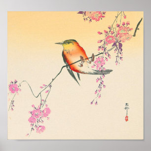 桜に鳥, 小原古邨 Bird & Cherry Blossoms, Ohara Koson Poster