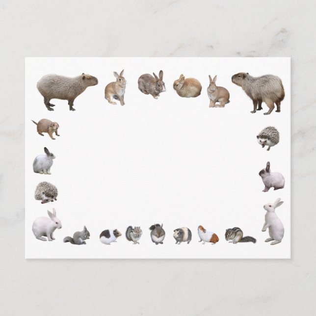 様々な小動物 POSTCARD (Front)
