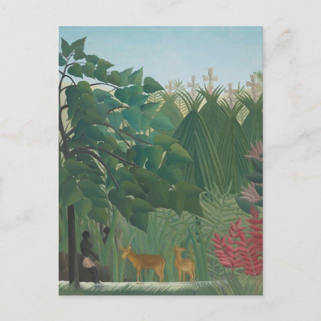 滝 POSTCARD (Front)