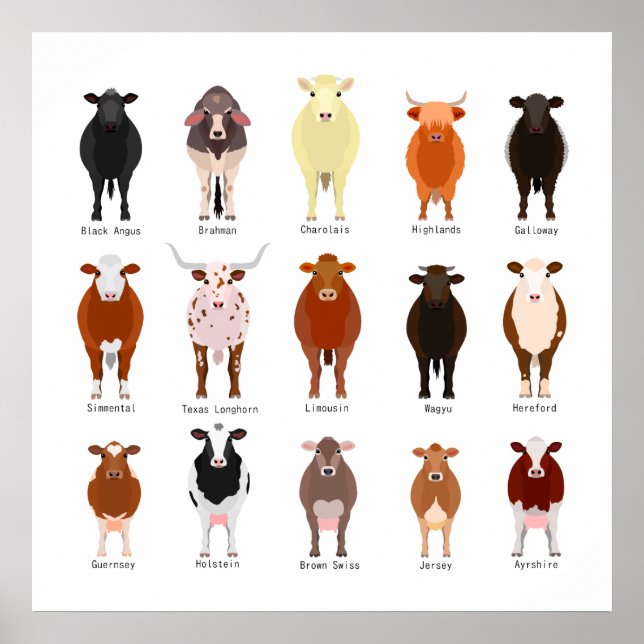 牛の種類一覧 POSTER (Front)