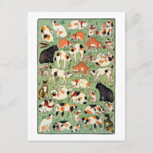 猫尽両めん合, 芳藤 Cats of The Edo era, Yoshifuji, Ukiyo-e Postcard