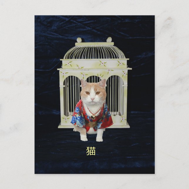 猫 Lucky Cat Postcard (Front)