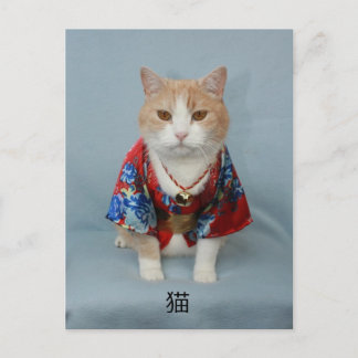 猫 POSTCARD
