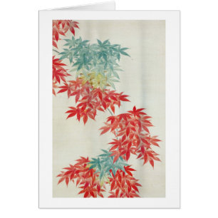 紅葉, 其一 Japanese maple tree, Kiitsu