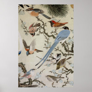 群鳥図, 中住道雲, Birds(detail), Nakazumi D Poster