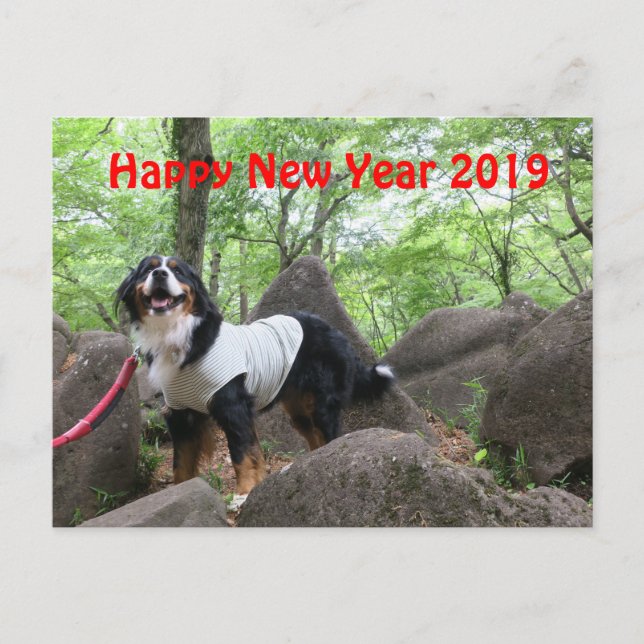 花音2019年賀状 POSTCARD (Front)