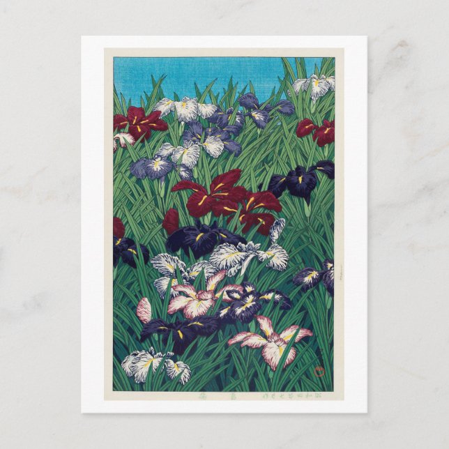 菖蒲, Iris, Hasui Kawase, Woodcut Postcard (Front)
