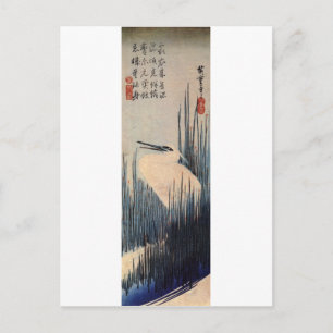 葦に白鷺, 広重 White heron and Reed, Hiroshige, Ukiyo-e Postcard