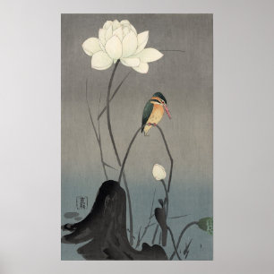 蓮にカワセミ, 古邨 Kingfisher on Lotus, Ko Poster