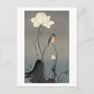 蓮にカワセミ, 古邨 Kingfisher on Lotus, Koson, Ukiyo-e Postcard