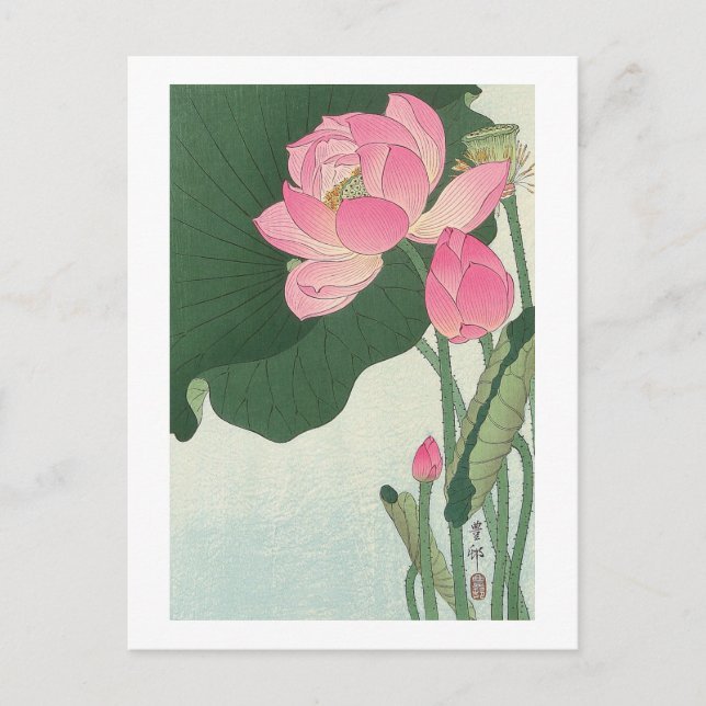 蓮の花, 小原古邨 Lotus flower, Ohara Koson, Ukiyo-e Postcard (Front)