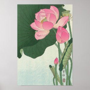 蓮の花, 小原古邨 Lotus flower, Ohara Koson, Ukiyo-e Poster