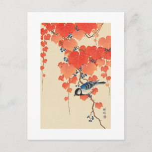 赤い蔦に鳥, 古邨 Bird on Red Ivy, Koson, Uk Postcard