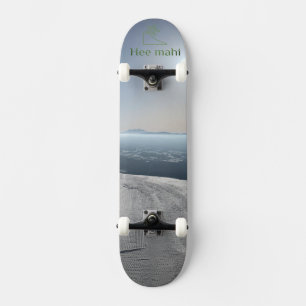 陸海雪 SKATEBOARD