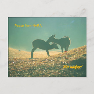 鹿 nara postcard