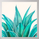 Search for agave posters Cactus