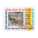 Search for slogans magnets Recovery
