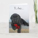 Search for labrador valentines day cards Dog