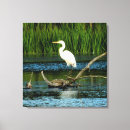 Search for egrets canvas prints White