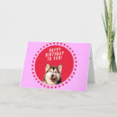 Search for siberian husky dog birthday cards Dogs