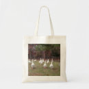 Search for ducks bags Farm animals