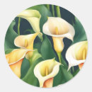 Search for calla lily stickers Floral