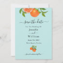 Search for florida orange blossom Watercolor