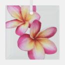 Search for plumeria christmas tree decorations Frangipani