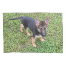 Search for puppy pillowcases Pet