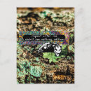 Search for funny possum postcards Joke