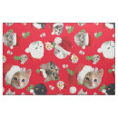 Search for funny cat fabric Cute