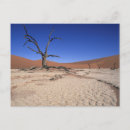Search for bare tree postcards Colour image
