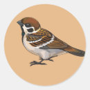 Search for songbirds stickers Animal