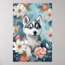 Search for husky posters Puppy