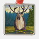 Search for wyoming christmas tree decorations Wild