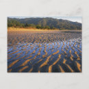 Search for south island postcards Ie