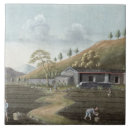 Search for korean tiles Tea