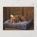 Search for pamper postcards Pet